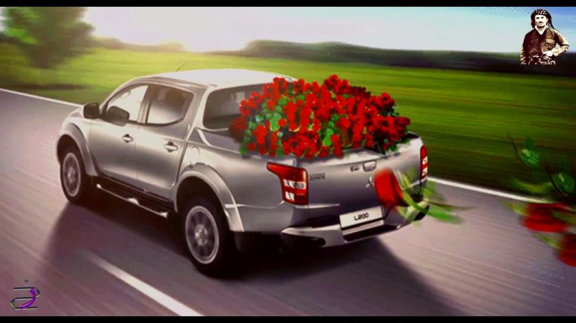 Автомобиль с цветами