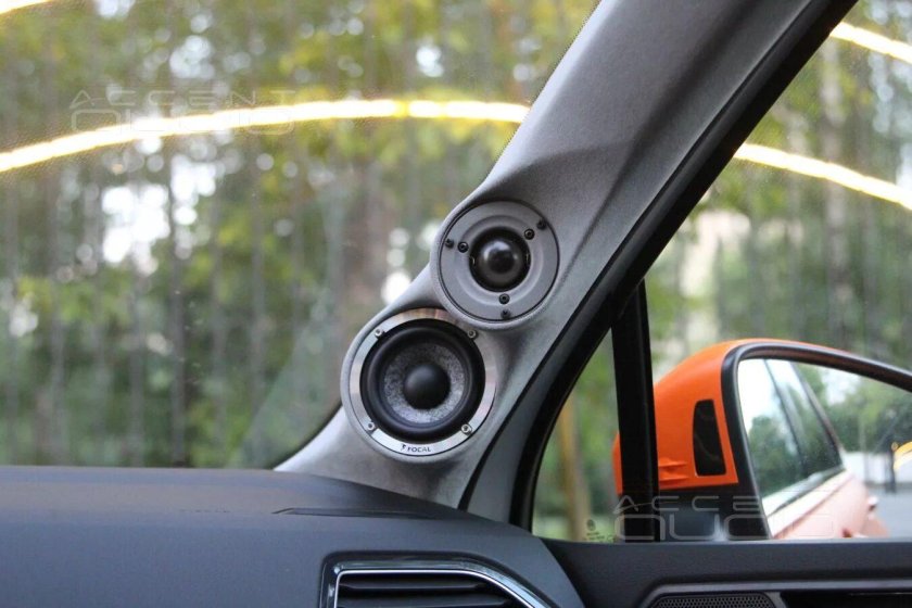 Пищалки Тигуан 2