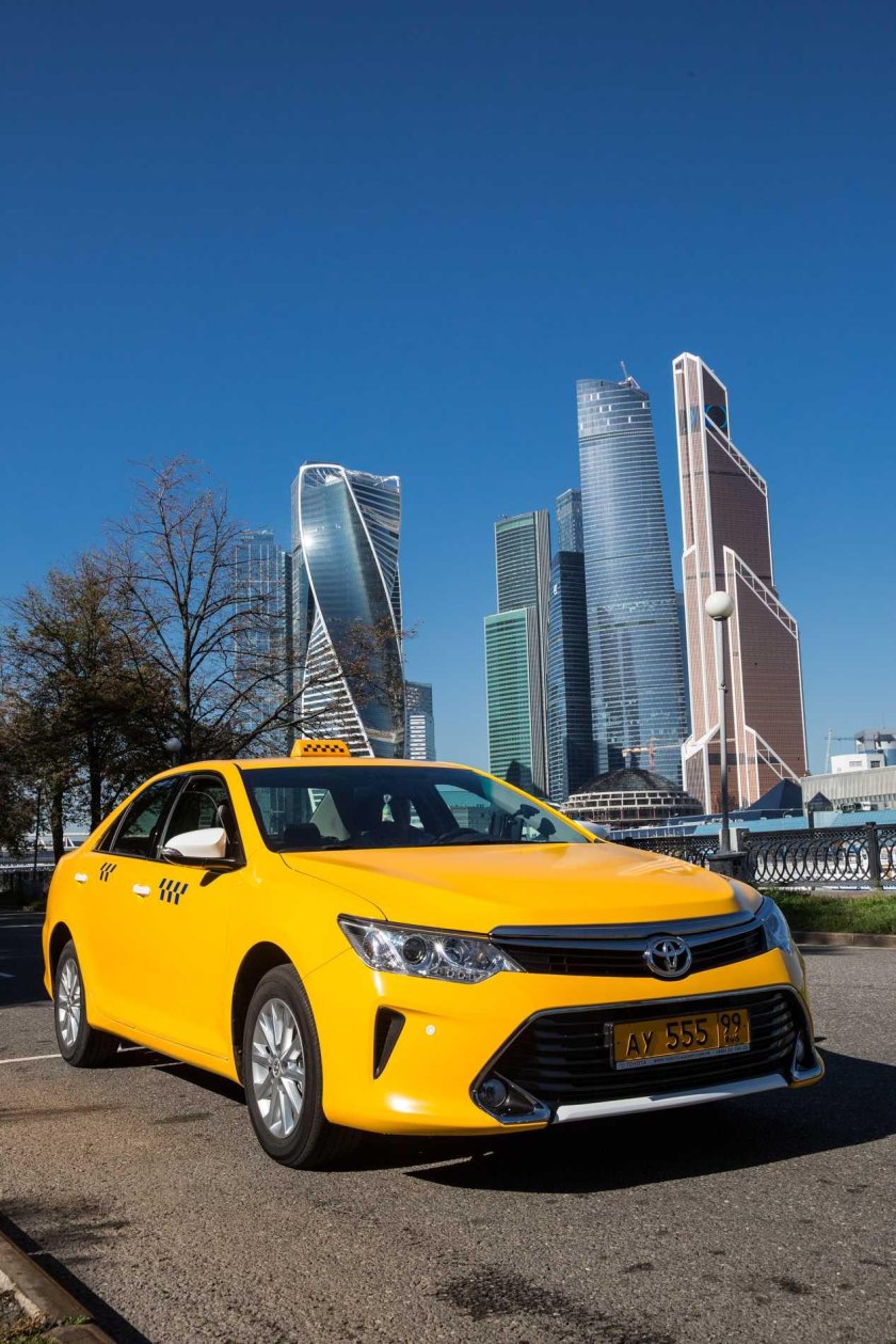 Такса в машине