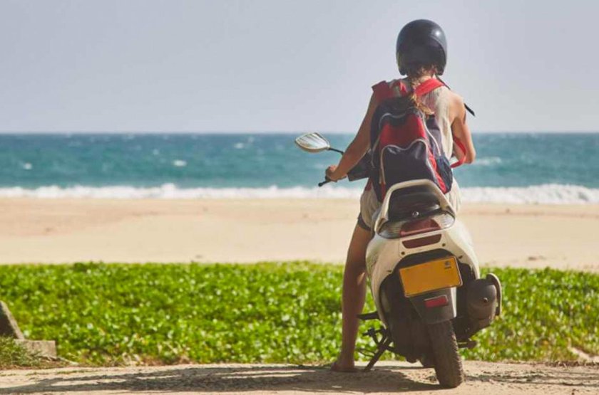 Пальмы и мопед в треугольнике