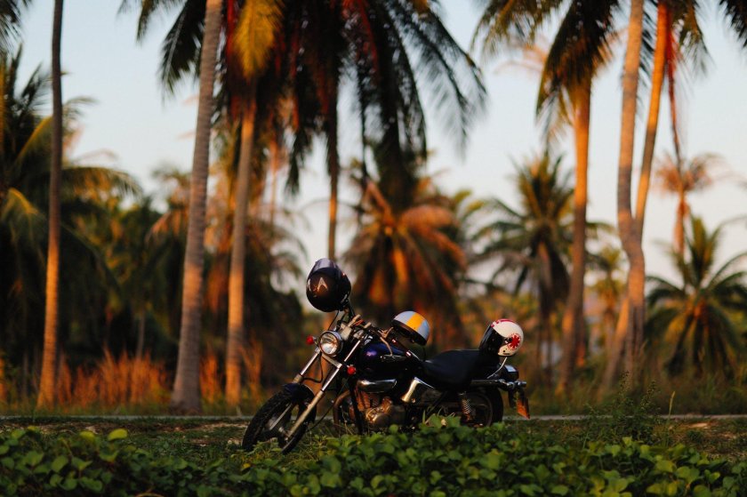 Мотоцикл и пальмы