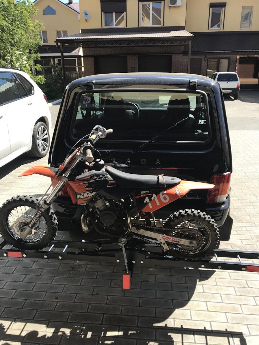 Мотохвост Сорокин