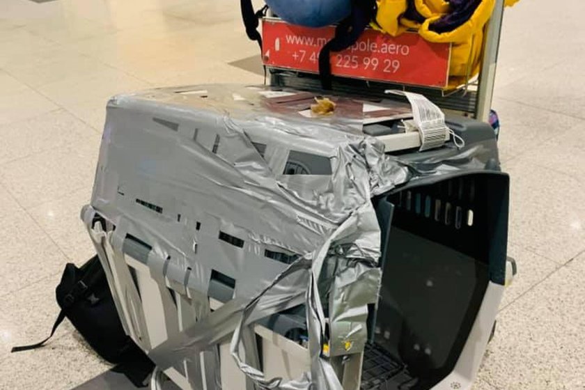 Разбитая переноска