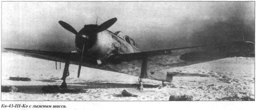 Лыжное шасси самолета