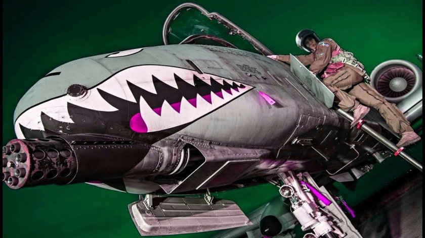 A 10 Thunderbolt и пилот