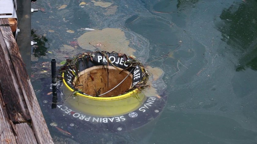 Seabin очиститель океан