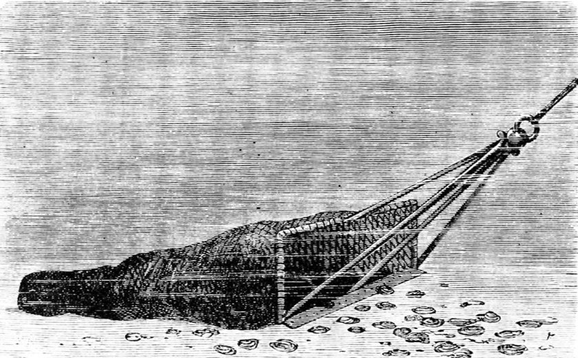 Донный трал драга