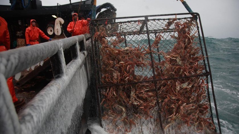 Ловля крабов в Беринговом море