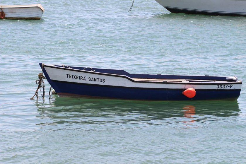 Катер Фрида