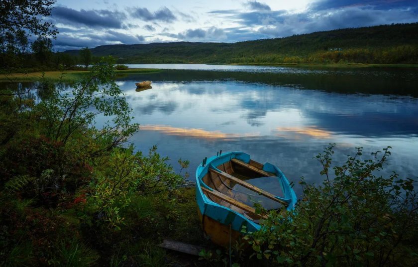 Природа река