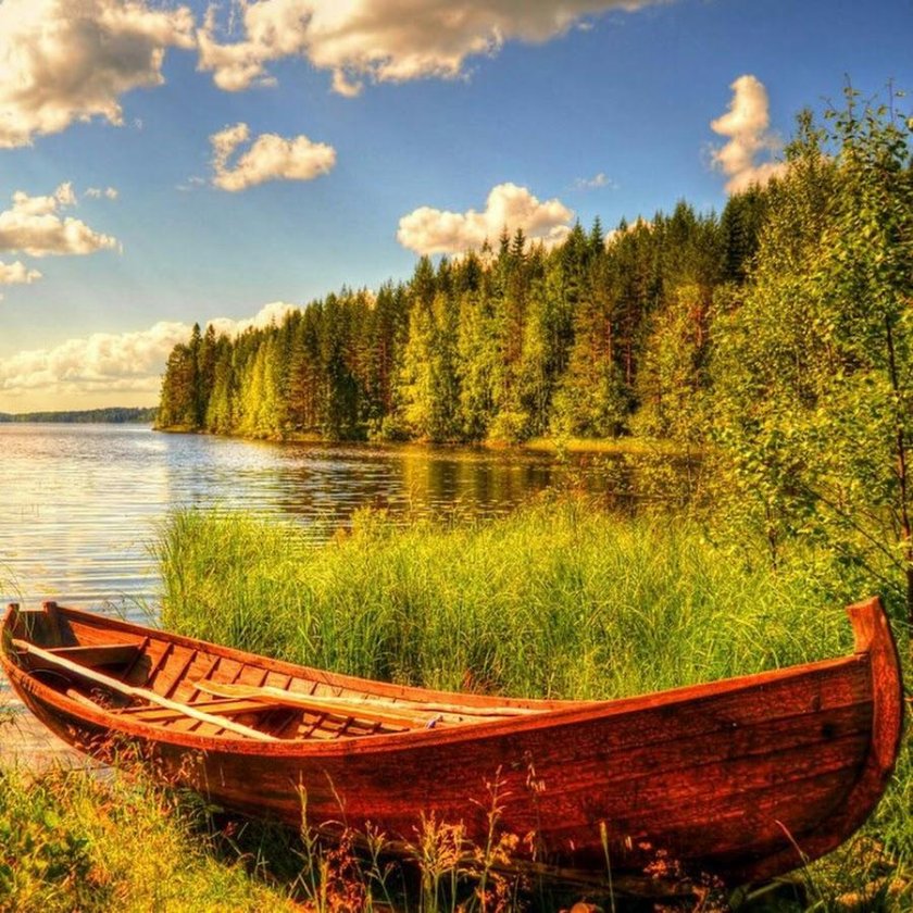 Речной пейзаж