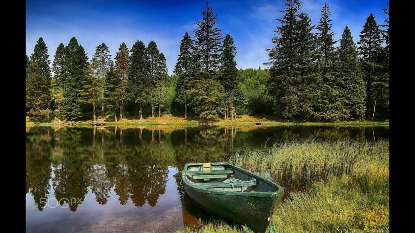 Озеро в лесу