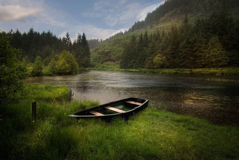 Берег озера в лесу