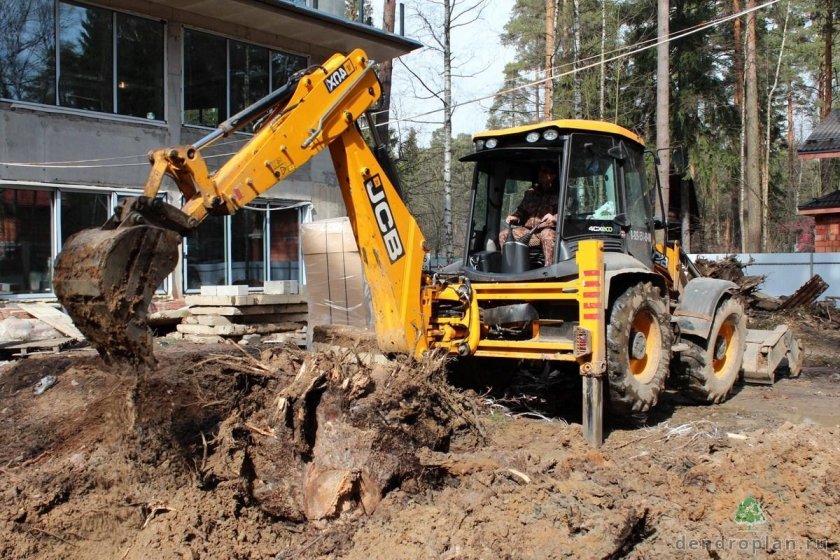 Выкорчёвывание пней экскаватором