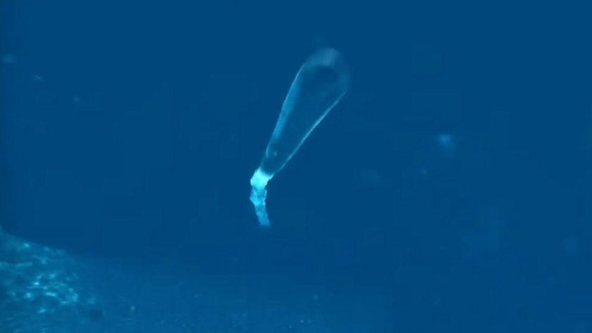 2м39 Посейдон