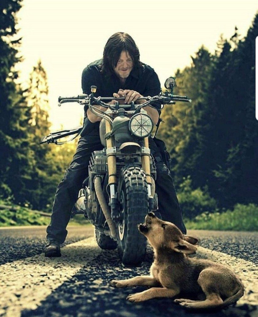 Норман Ридус Ходячие мертвецы