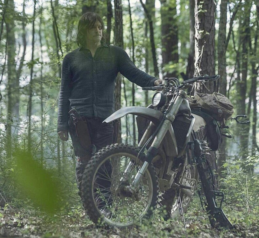 Дэрил Диксон 6 сезон