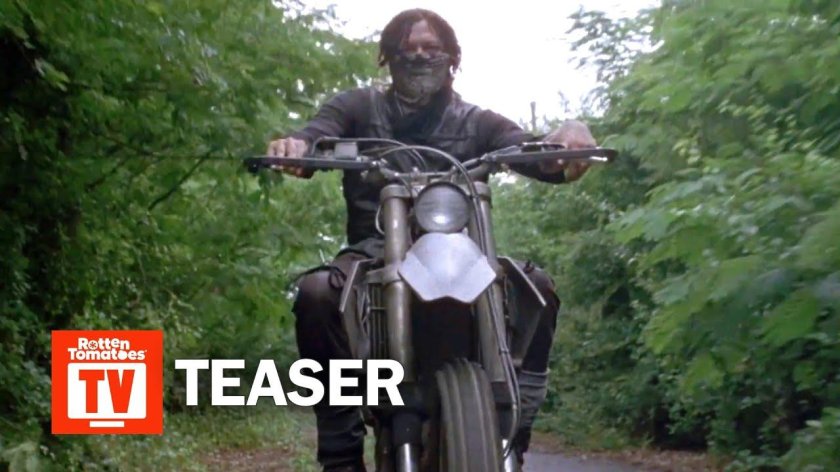 Daryl Dixon 9 Season