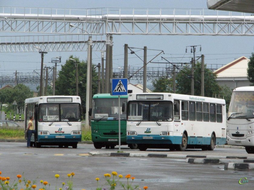Автобус Орша