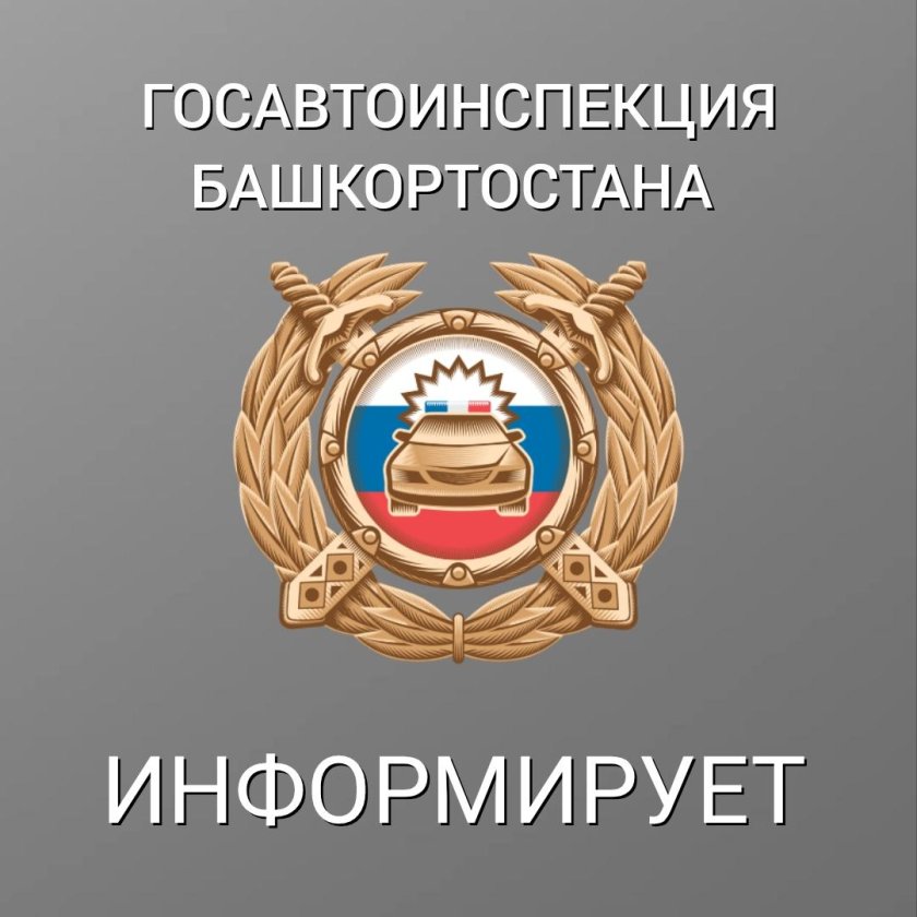 Госавтоинспекция Амурская область логотип