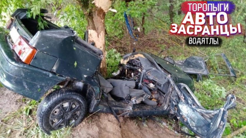 Машина врезалась в дерево